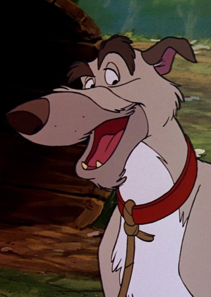 Chief (The Fox and the Hound) photo
