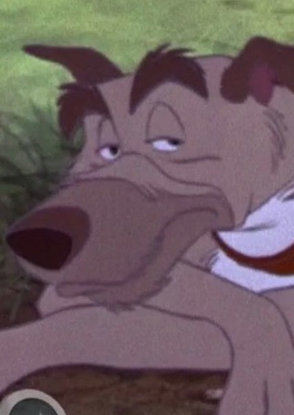 Chief (The Fox and the Hound) photo
