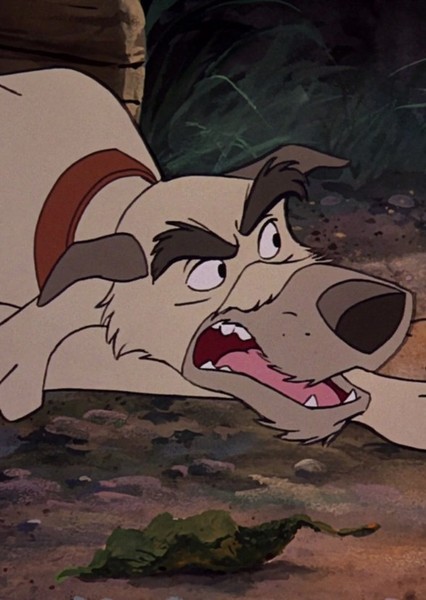 Chief (The Fox and the Hound) photo