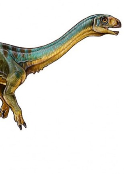 Chilesaurus