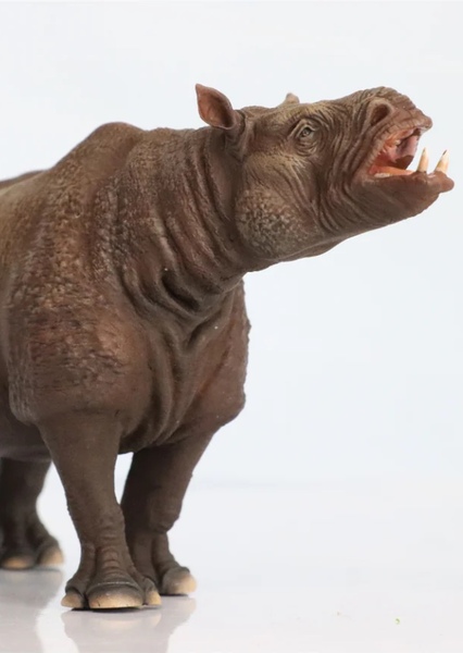 Chilotherium photo
