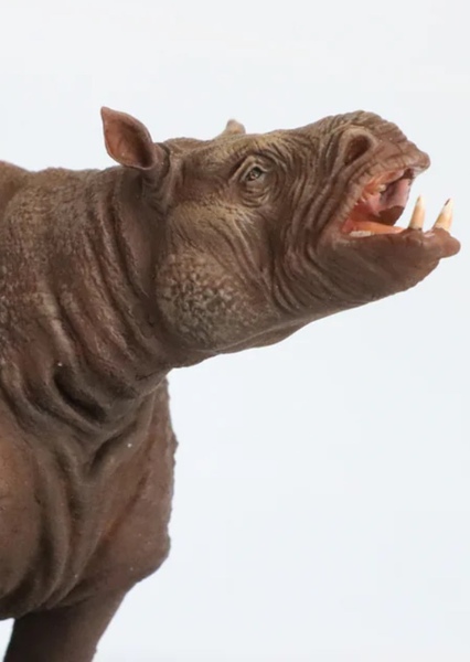 Chilotherium photo