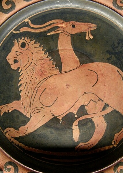 Chimera photo