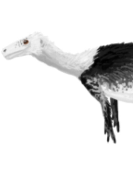 Chindesaurus