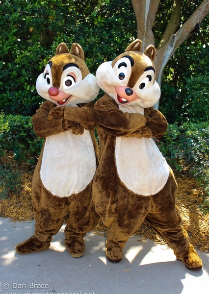 Chip and Dale photo
