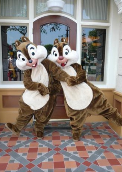 Chip and Dale photo