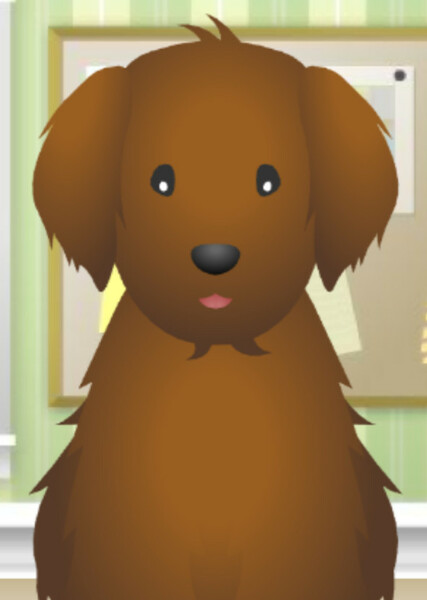 Chocolate Chip (American Girl) photo