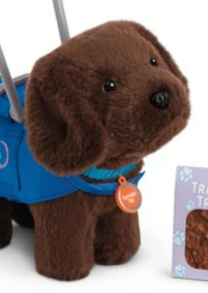 Chocolate Chip (American Girl) photo