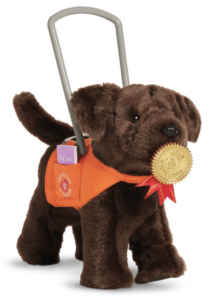 Chocolate Chip (American Girl) photo