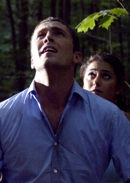Chris Flynn