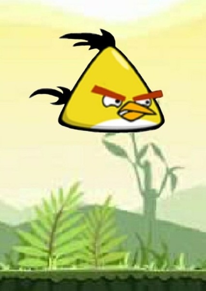 Chuck (Yellow Bird) photo