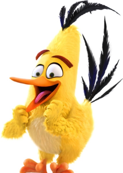 Chuck (Yellow Bird) photo