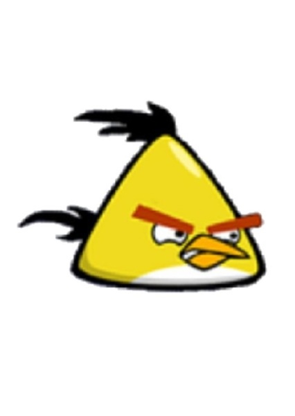 Chuck (Yellow Bird) photo
