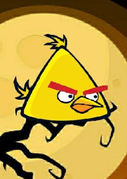 Chuck (Yellow Bird) photo