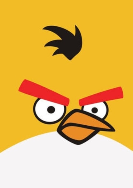 Chuck (Yellow Bird) photo