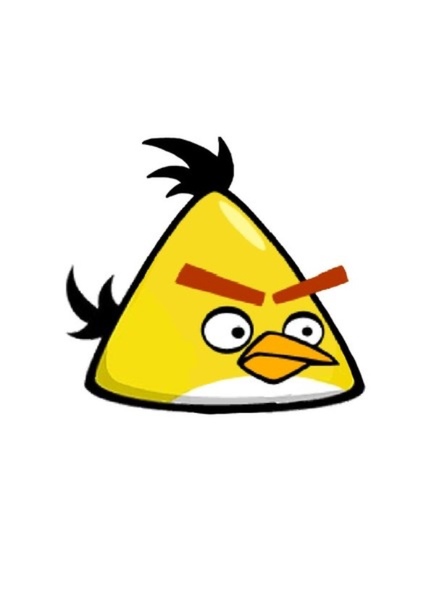 Chuck (Yellow Bird) photo