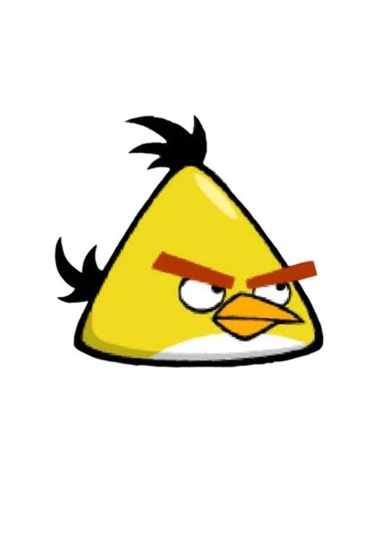 Chuck (Yellow Bird) photo