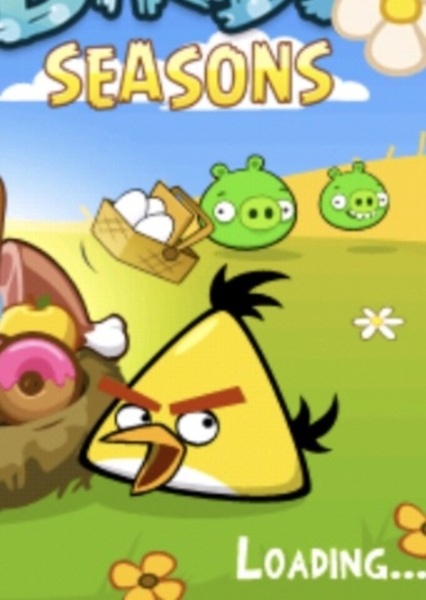 Chuck (Yellow Bird) photo
