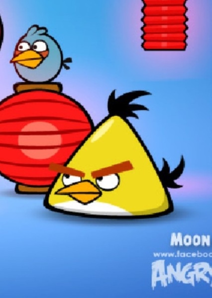 Chuck (Yellow Bird) photo