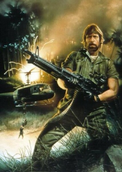 Chuck Norris photo