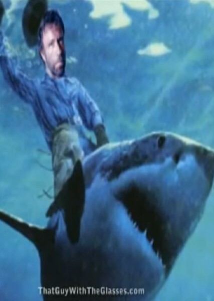 Chuck Norris photo