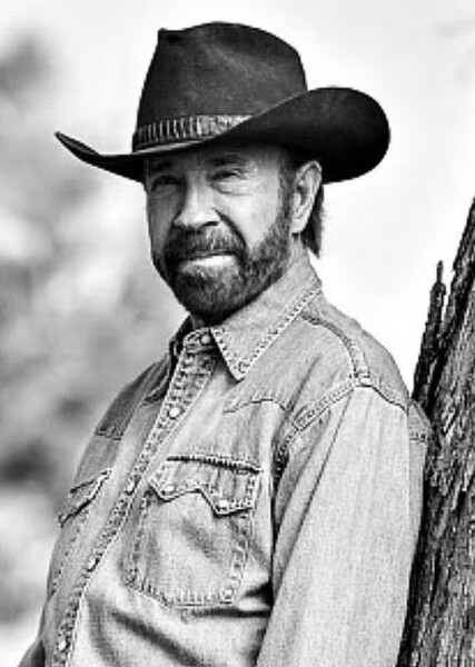 Chuck Norris photo