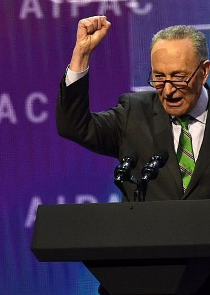 Chuck Schumer photo