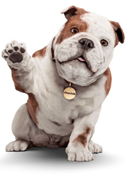 Churchill photo