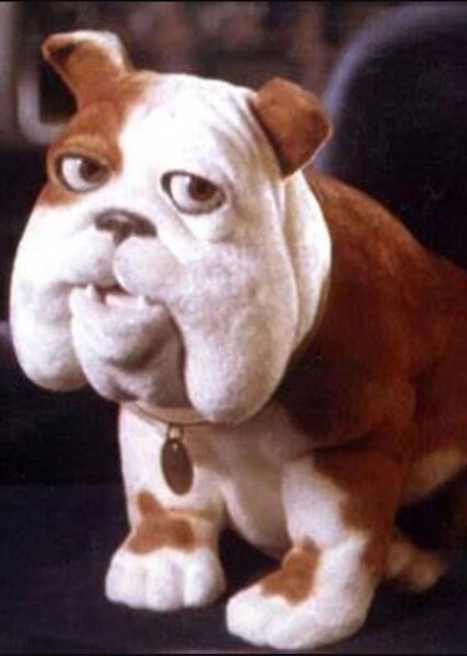 Churchill photo