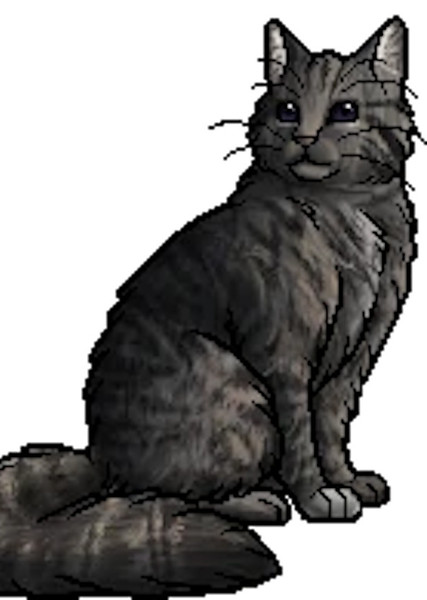 Cinderheart (Warrior Cats) photo