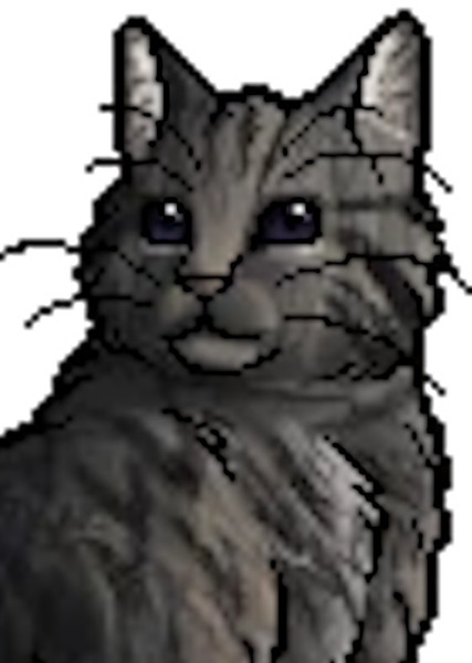 Cinderheart (Warrior Cats) photo