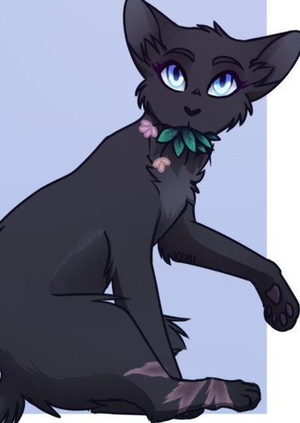 Cinderpelt (Warrior Cats) photo