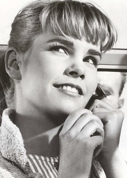 Cindy Carol