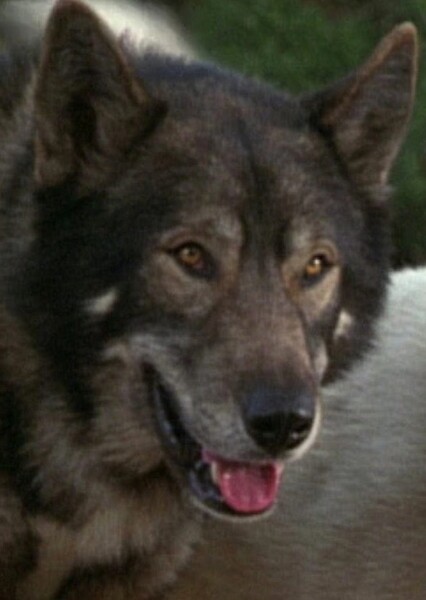 Clancy Brown photo