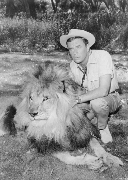 Clarence the Lion photo
