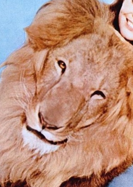 Clarence the Lion photo