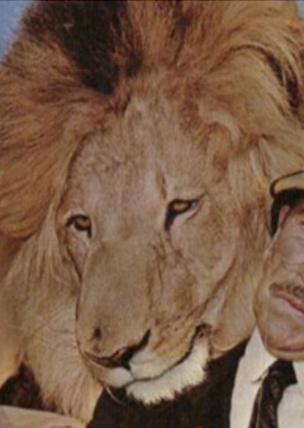 Clarence the Lion photo
