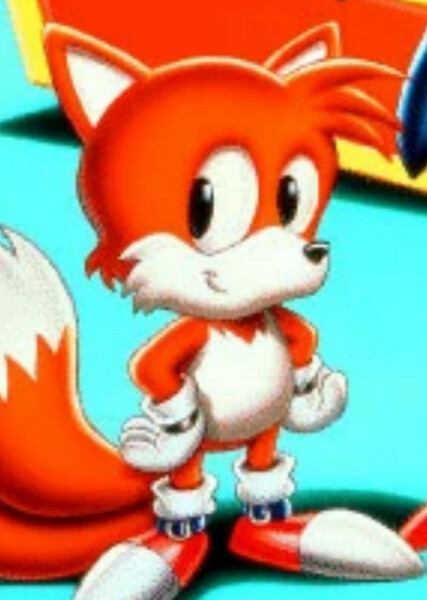 Classic Tails photo