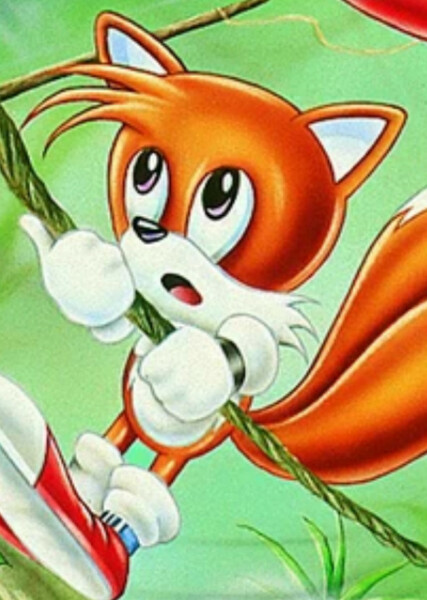 Classic Tails photo