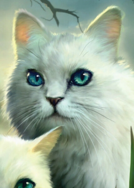 Cloudtail (Warrior Cats) photo