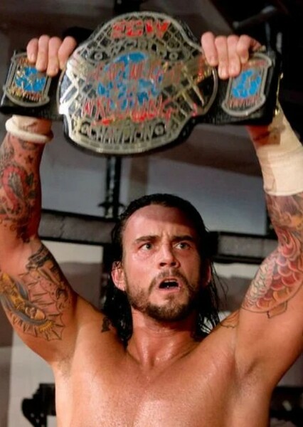 CM Punk photo