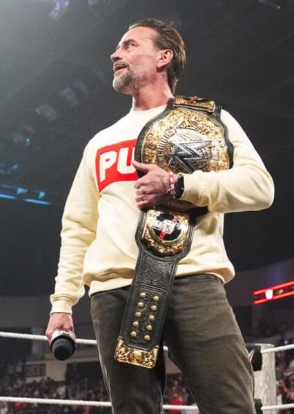 CM Punk photo