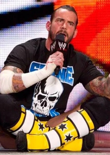 CM Punk photo