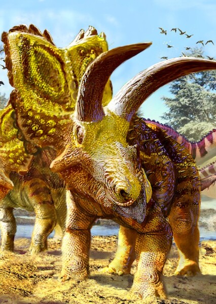 Coahuilaceratops