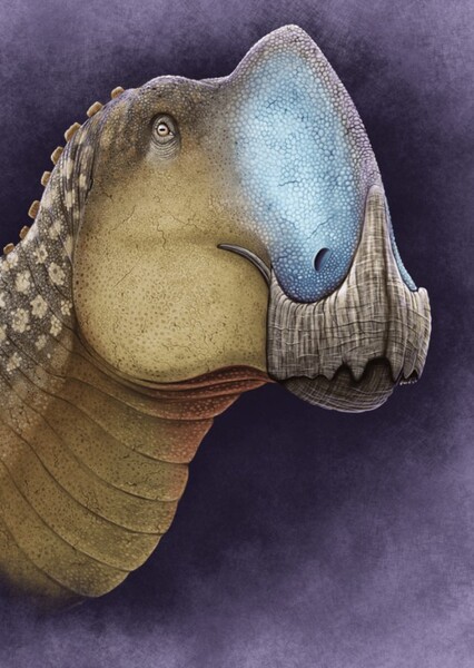 Coahuilasaurus