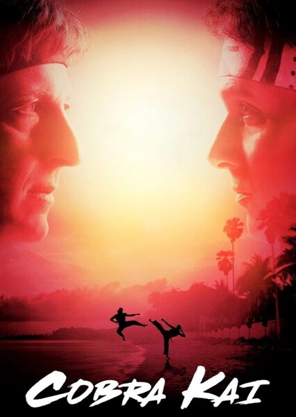 Cobra Kai (TV Show) photo