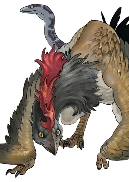 cockatrice photo
