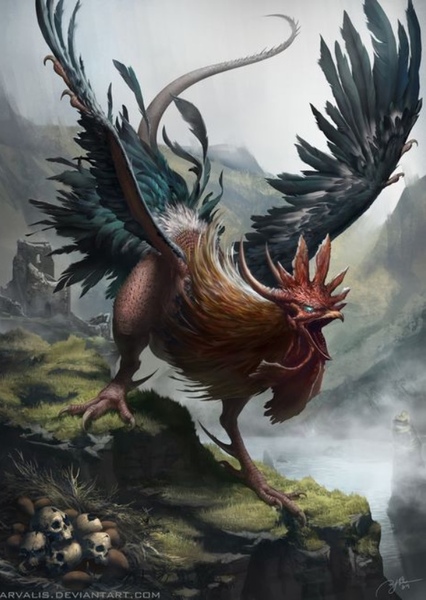 cockatrice photo