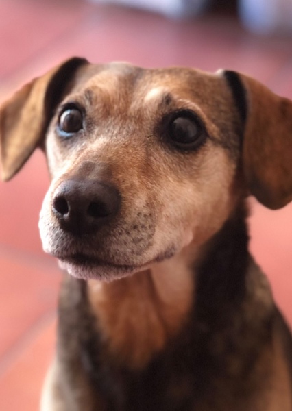 Coco