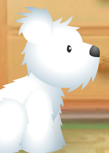 Coconut (American Girl) photo